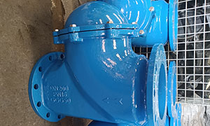 Ductile Iron Ball Check Valve Exported to Thailand