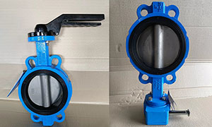 Ductile Iron Butterfly Valve with Handle or Worm Gear Operated