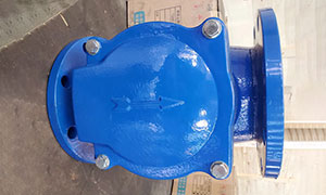 Rubber Flap Swing Check Valve Exported to Vietnam