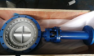 Triple Offset Butterfly Valve with Extended Stem Exported to Europe