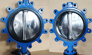 Lug Type Butterfly Valve with Polished Disc