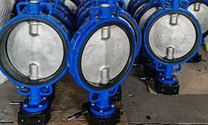 Double Half Shaf Wafer Butterfly Valve Manufacturers and Suppliers
