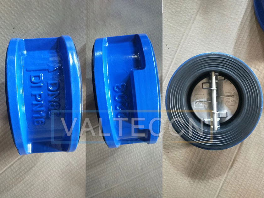 Dual plate wafer check valve exported to Malaysia