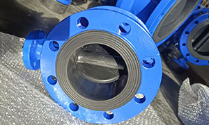 Flanged Butterfly Valves Suppliers and Manufacturers