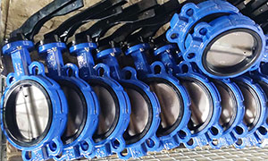 Mexico Customer Purchased Butterfly Valves From VALTECCN Again