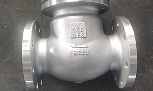Stainless Steel Swing Check Valve Exported to Mexico