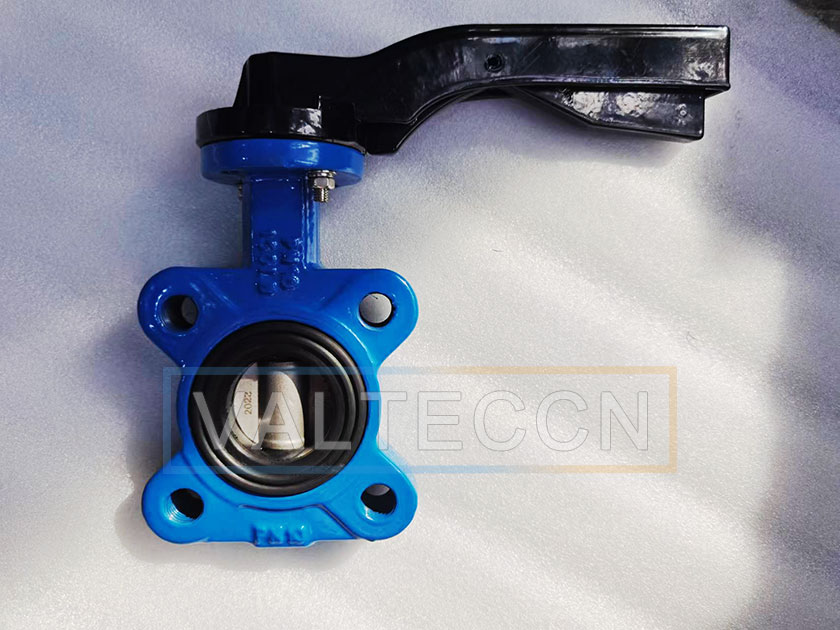 Ductile Iron Butterfly Valve Export to Italy