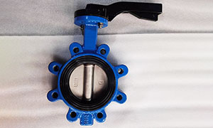40GP Ductile Iron Butterfly Valve Export to Italy