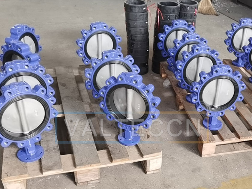 Ductile Iron Lug Butterfly Valve Purchased Again by Hong Kong Customer