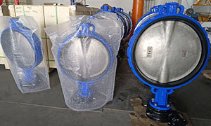WCB Wafer Butterfly Valve Were Sent to Mexico