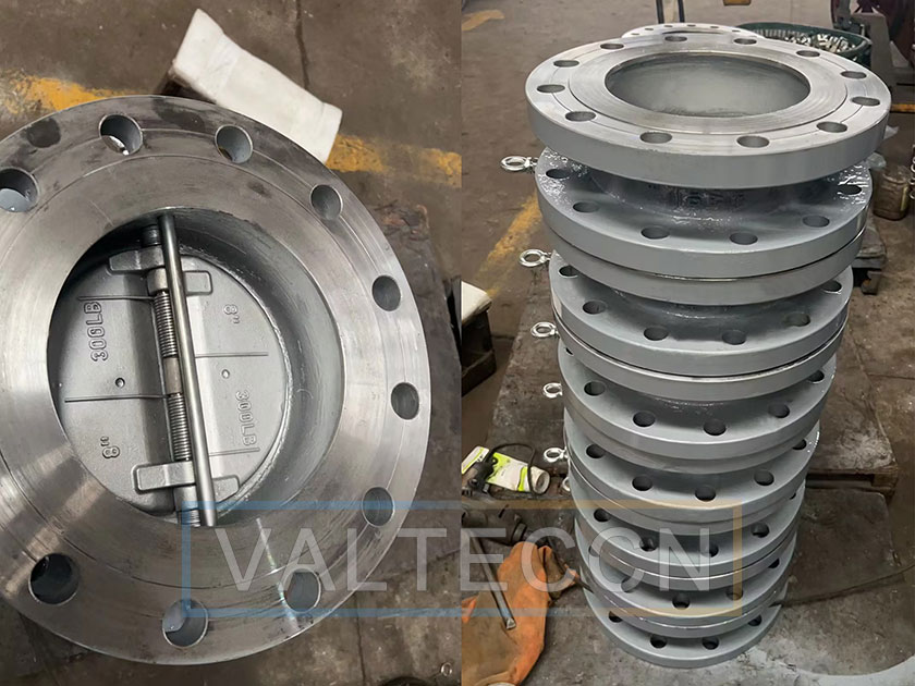 Flange End Dual plate Check Valve Exported To Brazil