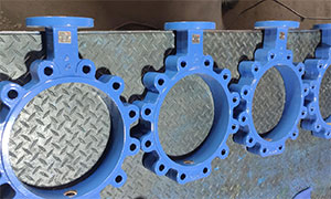 Lug Butterfly Valve Body, Ductile Iron Casting
