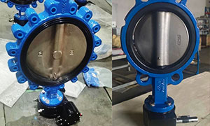 Worm Gear Wafer Butterfly Valve and Worm Gear Lug Butterfly Valve