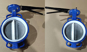 PTFE Seat Butterfly Valve Pressure Test