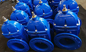 Resilient Seated Gate Valve Exported to Italy
