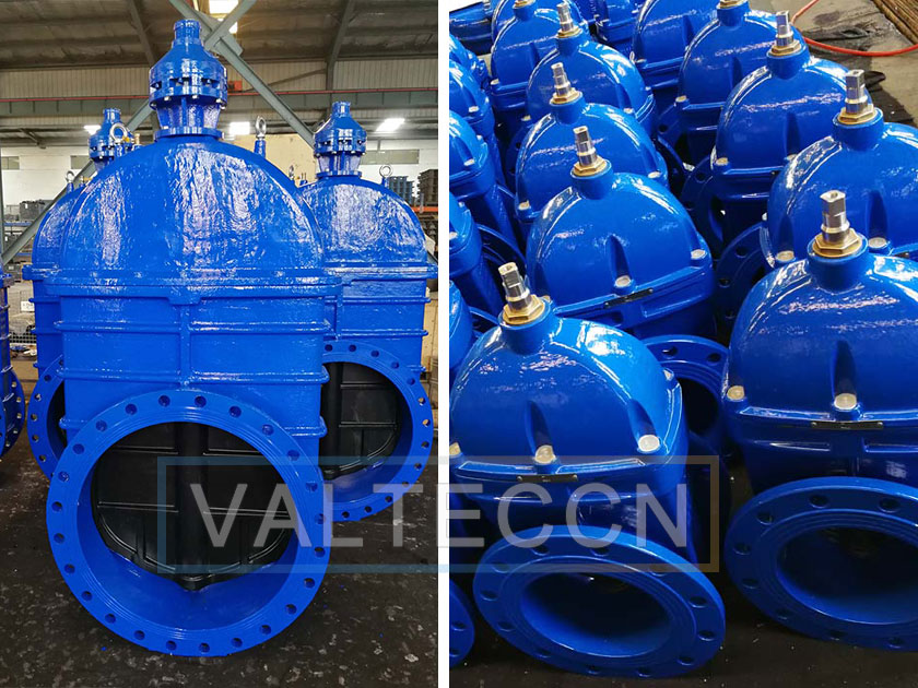 Resilient Seated Gate Valve Exported to Italy