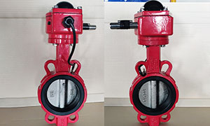Signal Butterfly Valve: Different From Ordinary Valve Introduction and Recommendation