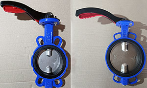 Difference Between Ductile Iron Disc and Stainless Steel Disc of Butterfly Valve