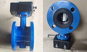 2 Inch Flange Butterfly Valve