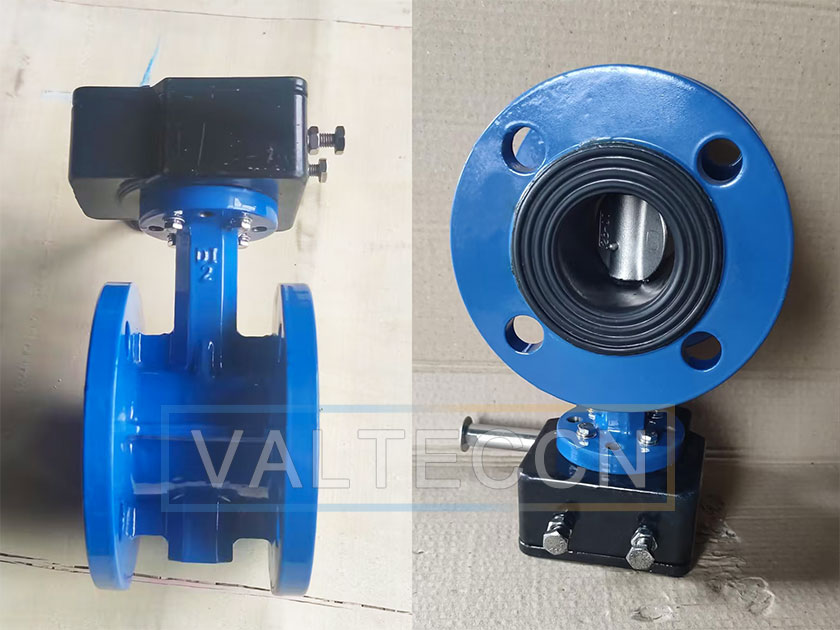 2 Inch Flange Butterfly Valve