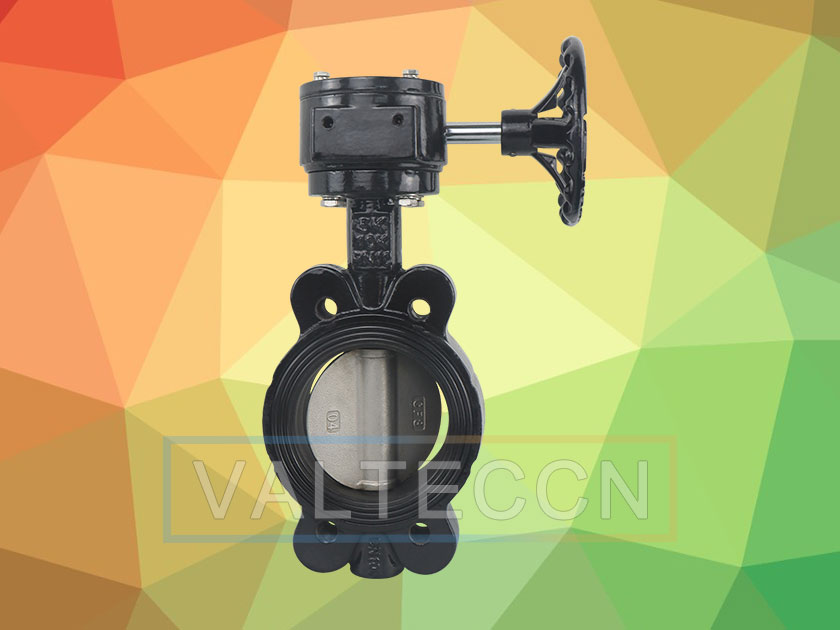 Manual Worm Butterfly Valve