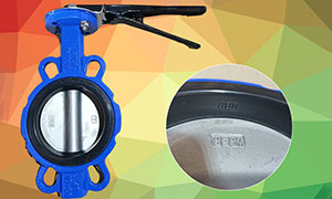 NBR Wafer Butterfly Valve Supplier and Manufacturer