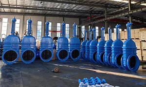 A 40 foot Resilient Seat Ductile Iron Gate Valves to Europe