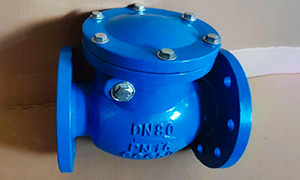VALTECCN Exported A Batch of High Quality Swing Check Valves to Spain