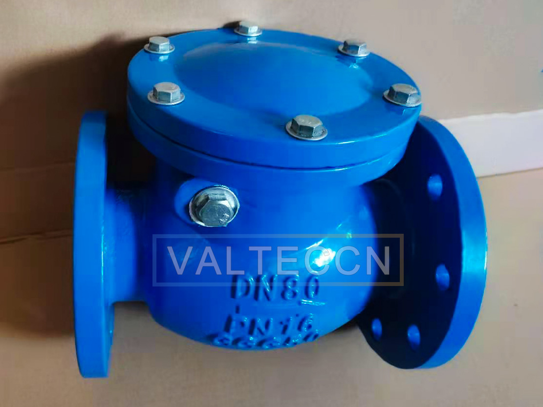 VALTECCN Exported A Batch of High Quality Swing Check Valves to Spain