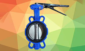 Manual Butterfly Valve Collection: A Comprehensive Guide to the Different Types, Features of Manual Butterfly Valves