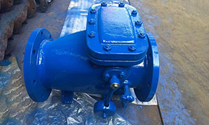 Swing Check Valve With Lever & Weight Exported to Europe