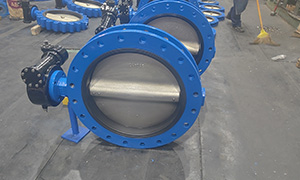Why Concentric Butterfly Valves are Popular in the Korean Market