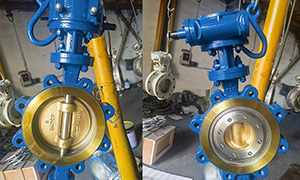 Malaysia Regular Customer Purchased Triple Offset Butterfly Valves
