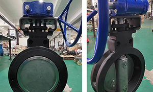 High Performance Butterfly Valve Exported to South Africa