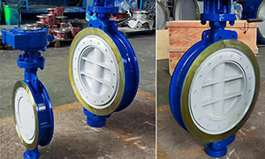 DN300 and DN500 Triple Offset Butterfly Valve to Saudi Arabia