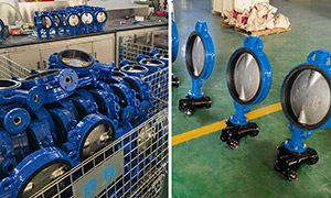 VALTECCN butterfly valve, the preferred brand in the South African market
