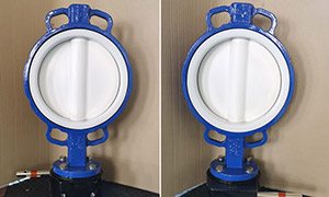 PTFE Lined Butterfly Valve: Anti-Corrosion and Wear-Resistant, Excellent Performance