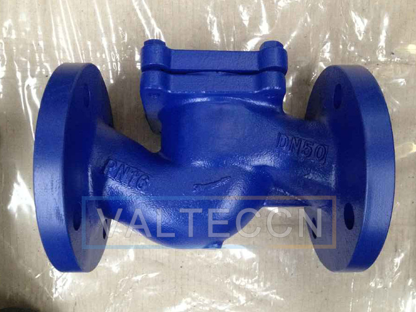 VALTECCN lift check valve