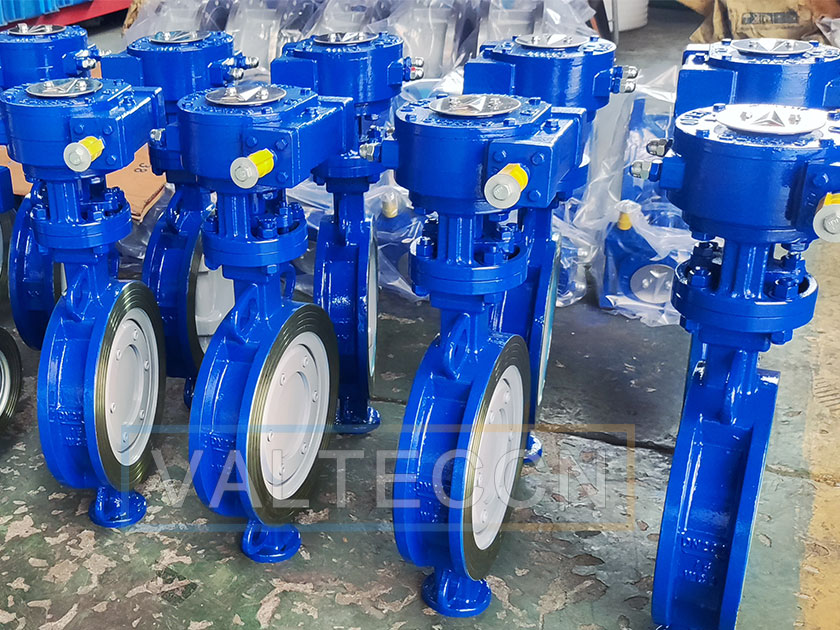 Butterfly Valve Handle Types and Gear Types