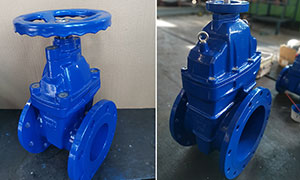Soft Seal Flange Ductile Iron Gate Valve Exported to Europe