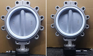 PTFE Seat Stainless Steel Lug Butterfly Valve Sample, High Quality Butterfly Valve Products
