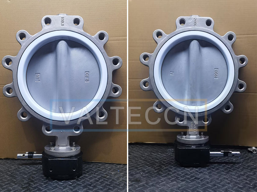 PTFE Seat Stainless Steel Lug Butterfly Valve Sample
