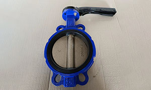 EPDM seat butterfly valve
