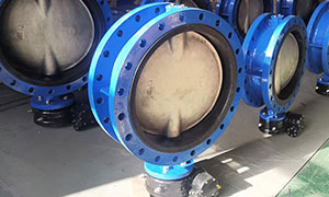 VALTECCN’s Double Flange Butterfly Valves: A UK Customer Success Story