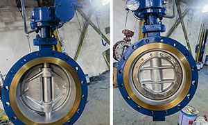 Successful export of Triple Offset butterfly valves from the UK - the fifth purchase witnesses excellent quality