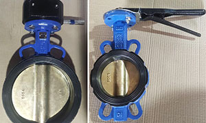 Russian customer service trusted VALTECCN VALVE and purchased wafer butterfly valve again