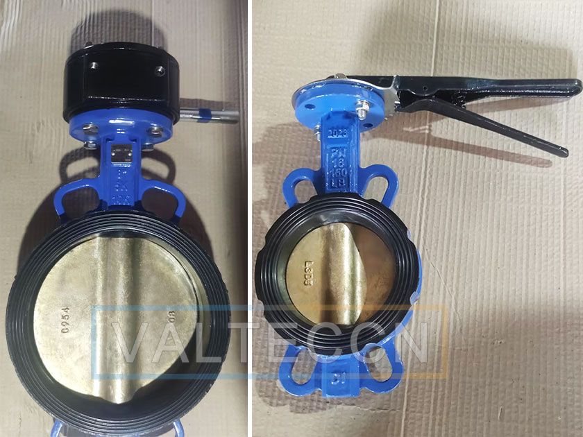 Russian customer service trusted VALTECCN VALVE and purchased wafer butterfly valve again