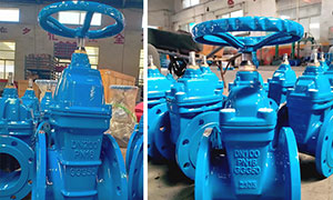 Non-Rising Stem Gate Valves for Chemical Waste, Export to UAE
