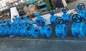 Double eccentric butterfly valve-VALTECCN high quality valve characteristics and technical parameters