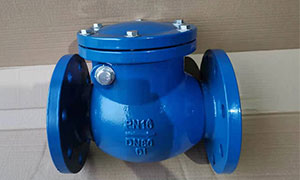 Swing check valve successfully exported to Brazil